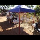 (Junge) Fische kauft man aus/in der Plastiktüte